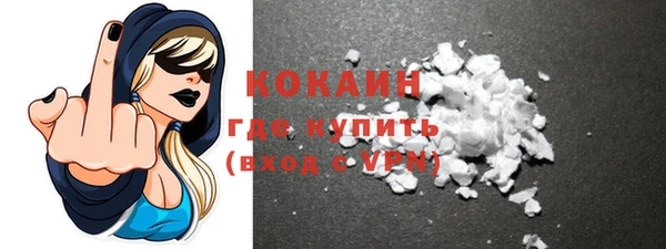 прущие грибы Костерёво
