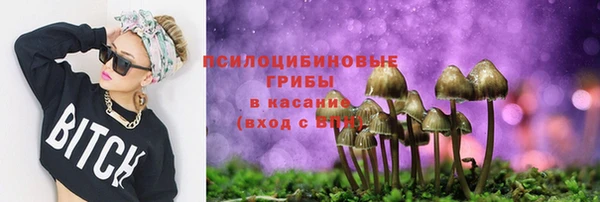 таблы Приозерск