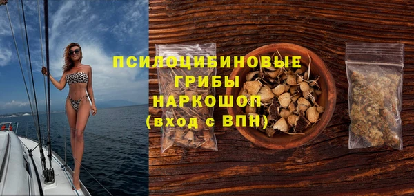 Альфа ПВП Пролетарск