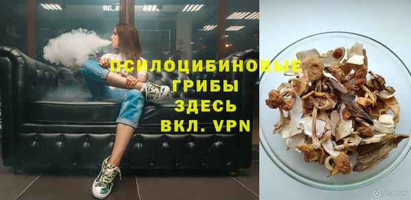 дмт Ивантеевка