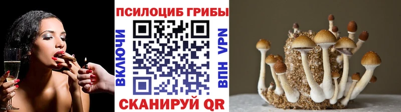 Псилоцибиновые грибы Cubensis Козловка